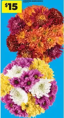 Real Canadian Superstore ASSORTED MUMS BUNCH offer