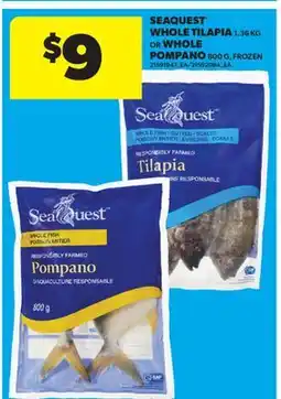 Real Canadian Superstore SEAQUEST WHOLE TILAPIA 1.36 KG OR WHOLE POMPANO 800 G offer