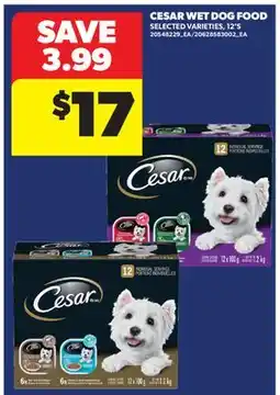 Real Canadian Superstore CESAR WET DOG FOOD, 12'S offer