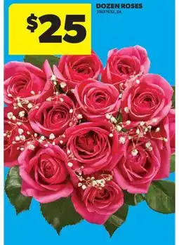 Real Canadian Superstore DOZEN ROSES offer