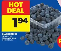 Real Canadian Superstore BLUEBERRIES offer