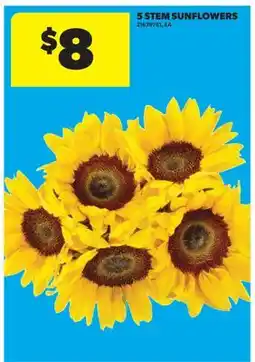 Real Canadian Superstore 5 STEM SUNFLOWERS offer