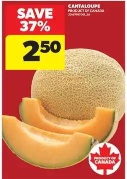 Real Canadian Superstore CANTALOUPE offer