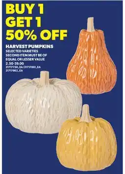 Real Canadian Superstore HARVEST PUMPKINS offer