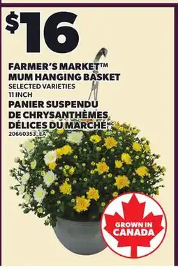 Independent Grocer FARMER'S MARKET MUM HANGING BASKET, 11 INCH offer
