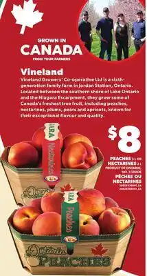 Independent Grocer PEACHES 3 L OR NECTARINES 2 L offer