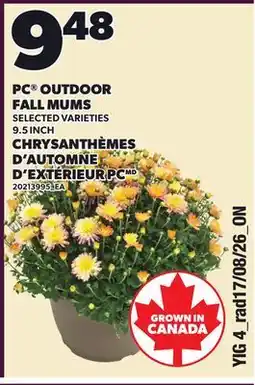 Independent Grocer PC OUTDOOR FALL MUMS, 9.5 INCH offer
