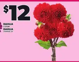 Independent Grocer DAHLIA, 5 STEM offer