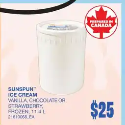 Wholesale Club SUNSPUN ICE CREAM offer