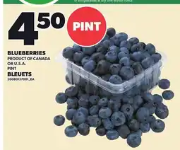 Independent Grocer BLUEBERRIES offer