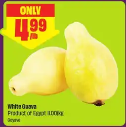 FreshCo White Guava Product of Egypt 11.00/kg offer