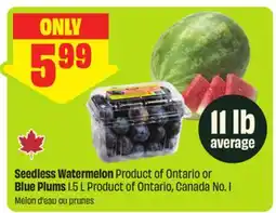 FreshCo Seedless Watermelon Product of Ontario or Blue Plums 1.5 L Product of Ontario, Canada No. 1 offer