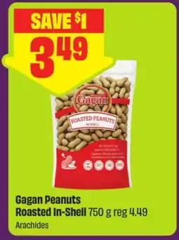 FreshCo Gagan Peanuts Roasted In-Shell offer