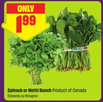 FreshCo Spinach or Methi Bunch Product of Canada offer