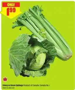 FreshCo Celery or Green Cabbage Product of Canada, Canada No.1 offer