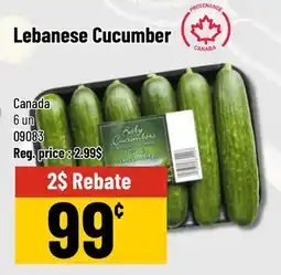 Mayrand Lebanese Cucumber offer