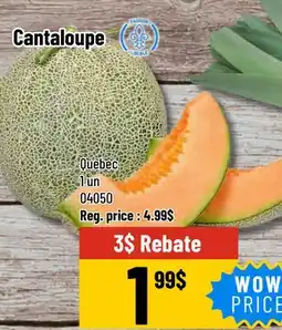 Mayrand Cantaloupe offer