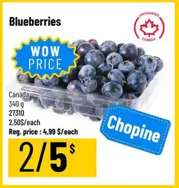 Mayrand Blueberries offer
