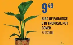 Canac Bird of Paradise 5in Tropical Pot Cover offer