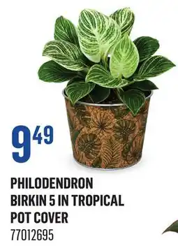 Canac Philodendron Birkin5in Tropical Pot Cover offer