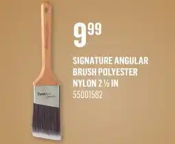 Canac Signature Angular Brush Polyester Nylon 21/2in offer