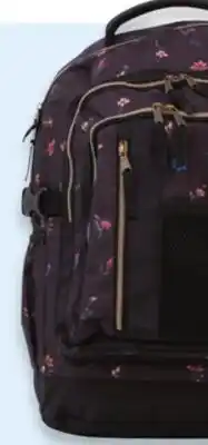 Walmart Backpacks offer