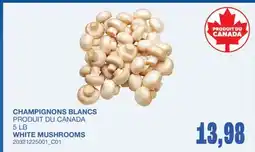 Wholesale Club CHAMPIGNONS BLANCS, 5 LB offer