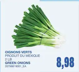 Wholesale Club OIGNONS VERTS, 2 LB offer