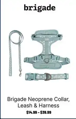 Ren’s Pets Depot Brigade Neoprene Collar, Leash & Harness offer