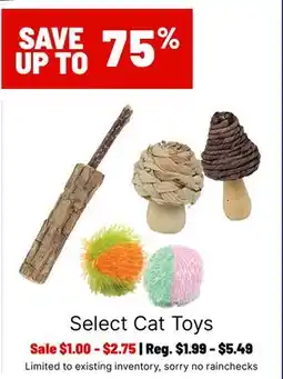 Ren’s Pets Depot Select Cat Toys offer