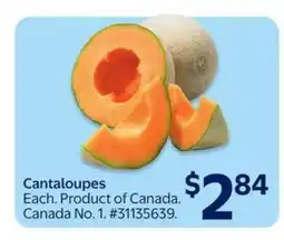 Walmart Cantaloupes offer