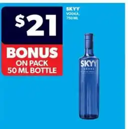 Real Canadian Liquorstore SKYY Vodka offer