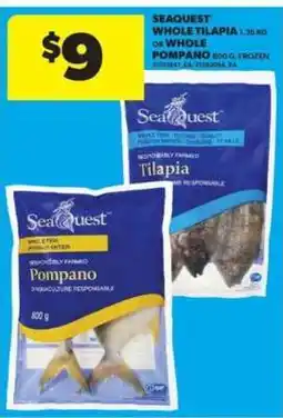 Real Canadian Superstore Seaquest Whole Tilapia or Whole Pompano offer