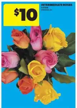 Real Canadian Superstore INTERMEDIATE ROSES offer