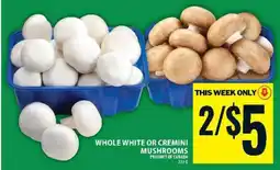 Food Basics WHOLE WHITE OR CREMINI MUSHROOMS offer