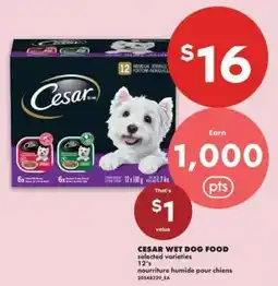 No Frills Cesar Wet Dog Food offer