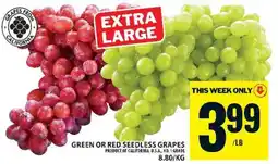 Food Basics GREEN or RED SEEDLESS GRAPES offer