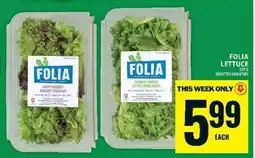Food Basics Folia Lettuce offer