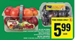 Food Basics Blue Plums, Nectarines, Blue Grapes offer