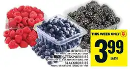 Food Basics Blueberries, Raspberries, Blackberries offer