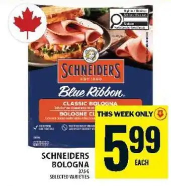Schneiders Bologna