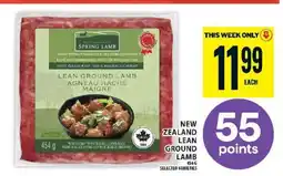 Food Basics New Zealand Lean Ground Lamb offer