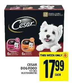 Food Basics CESAR DOG FOOD offer