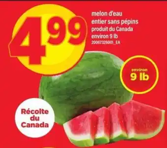 MELON D'EAU ENTIER SANS PÉPINS