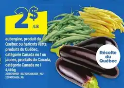 Maxi Aubergine, haricots verts ou jaunes offer
