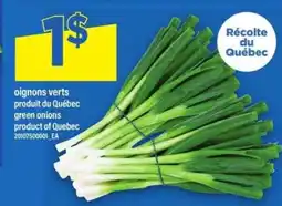 Maxi oignons verts offer