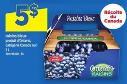 Maxi raisins bleus offer