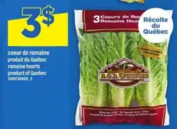 Maxi coeur de romaine offer