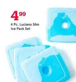 Kitchen Stuff Plus 4 Pc. Luciano Slim Ice Pack Set offer