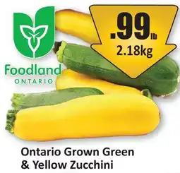 Starsky Ontario Grown Green & Yellow Zucchini offer